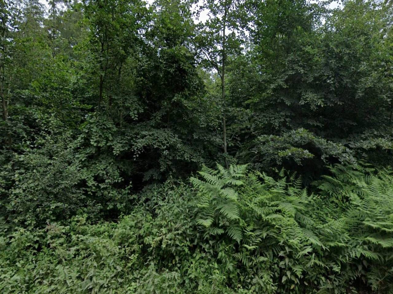 6 Personas casa en Grenaa in Skærbæk, Región de Tønder