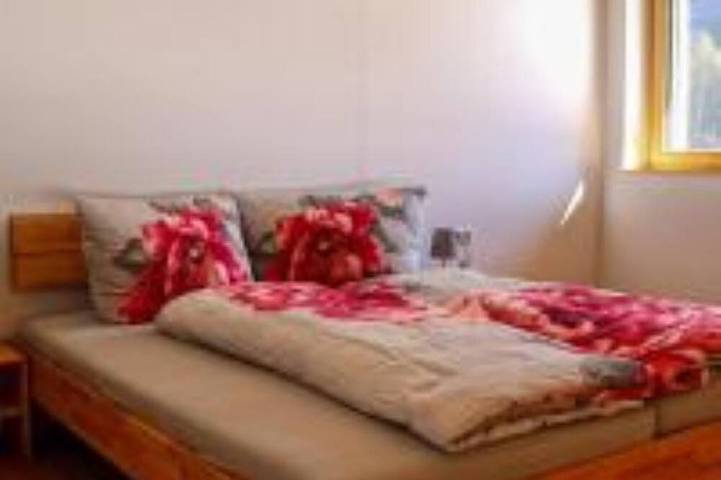 Ferienwohnung für 10 Personen, mit Balkon und Garten in Schnepfau - 2