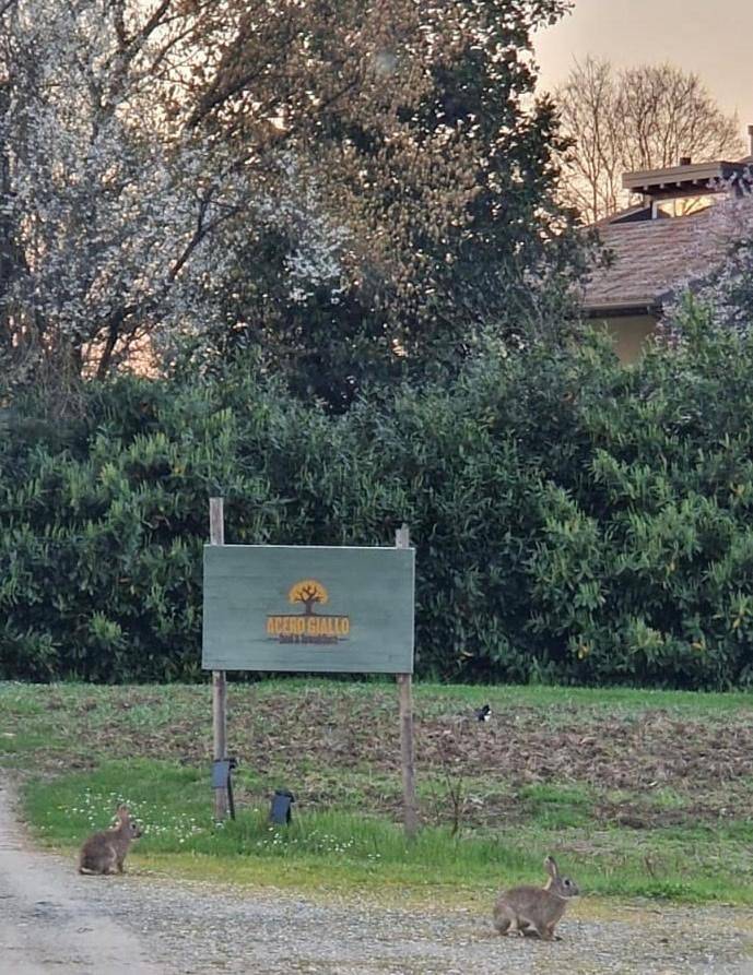 Chambre d’hôte pour 2 personnes, avec jardin et vue à Parme - 3