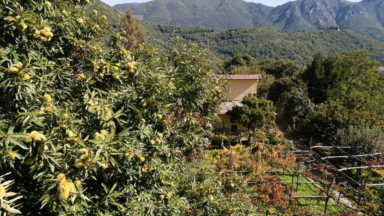 Casa Giordano in Tramonti, Monti Lattari