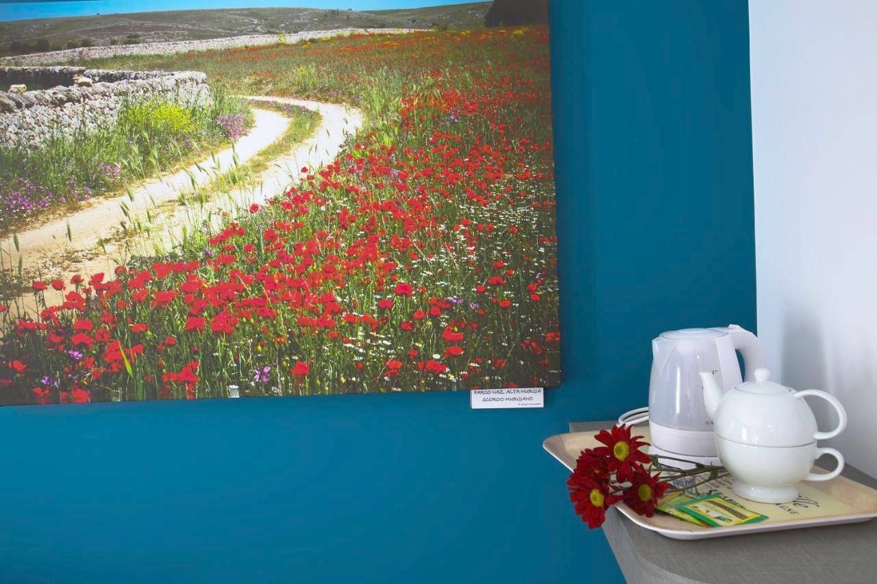 B&B Arco Caputi in Ruvo di Puglia, Parco nazionale dell'Alta Murgia