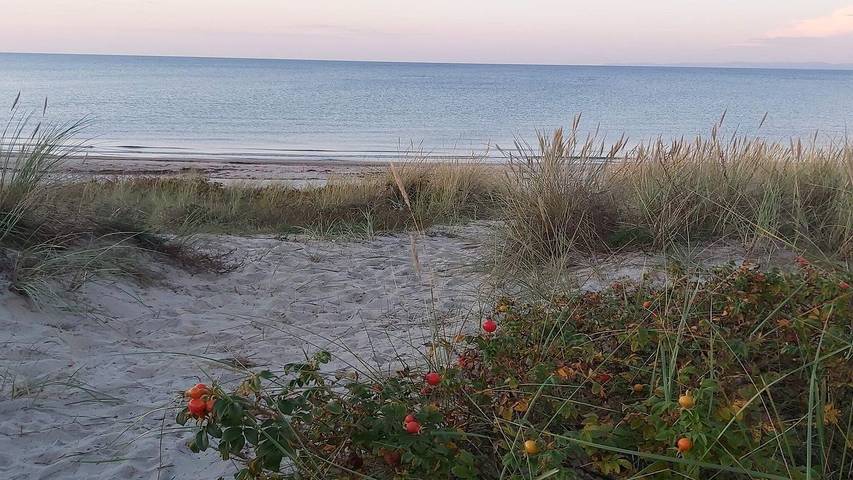 Ferienhaus für 15 Personen, mit Garten und Sauna sowie Pool und Whirlpool an der Kattegat Küste