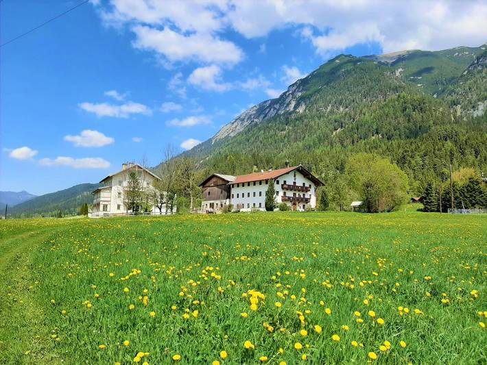 Bauernhof für 6 Personen, mit Balkon und Garten, kinderfreundlich am Achensee - 3