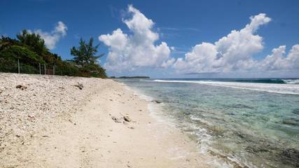 Villa pour 6 personnes, avec terrasse ainsi que vue et jardin dans Mo'orea