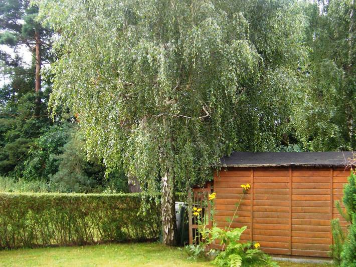 Ferienhaus für 5 Personen, mit Terrasse und Garten sowie Ausblick in Karlshagen - 4