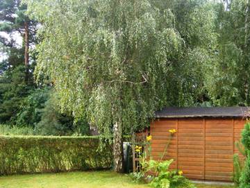 Ferienhaus für 5 Personen in Karlshagen, Usedom, Bild 3
