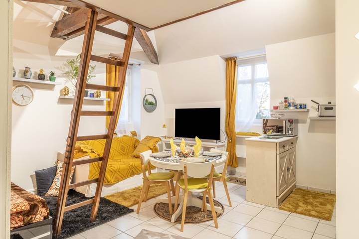 Appartement de vacances pour 4 personnes, avec jardin dans Île de France - 2