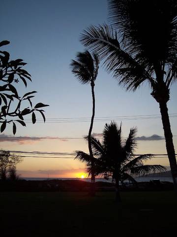 Cottage for 4 Guests in Kihei, Maui, Picture 2