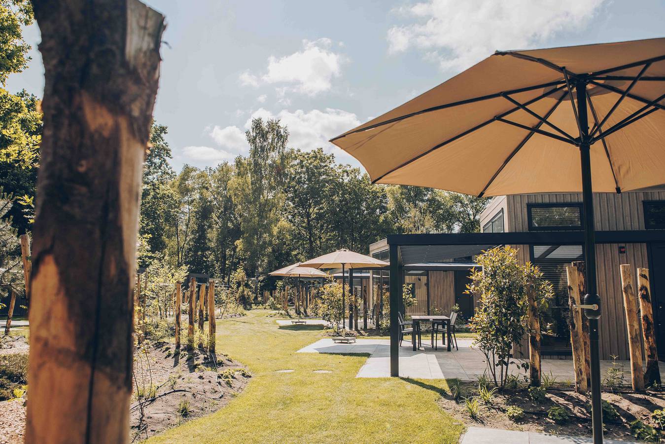 Veluwepark de Bosgraaf — Reeëndal Lodge Comfort | 4 Personen  in Veluwe