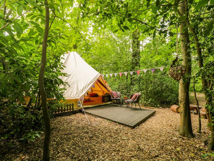 Hut for 6 people in Hampshire