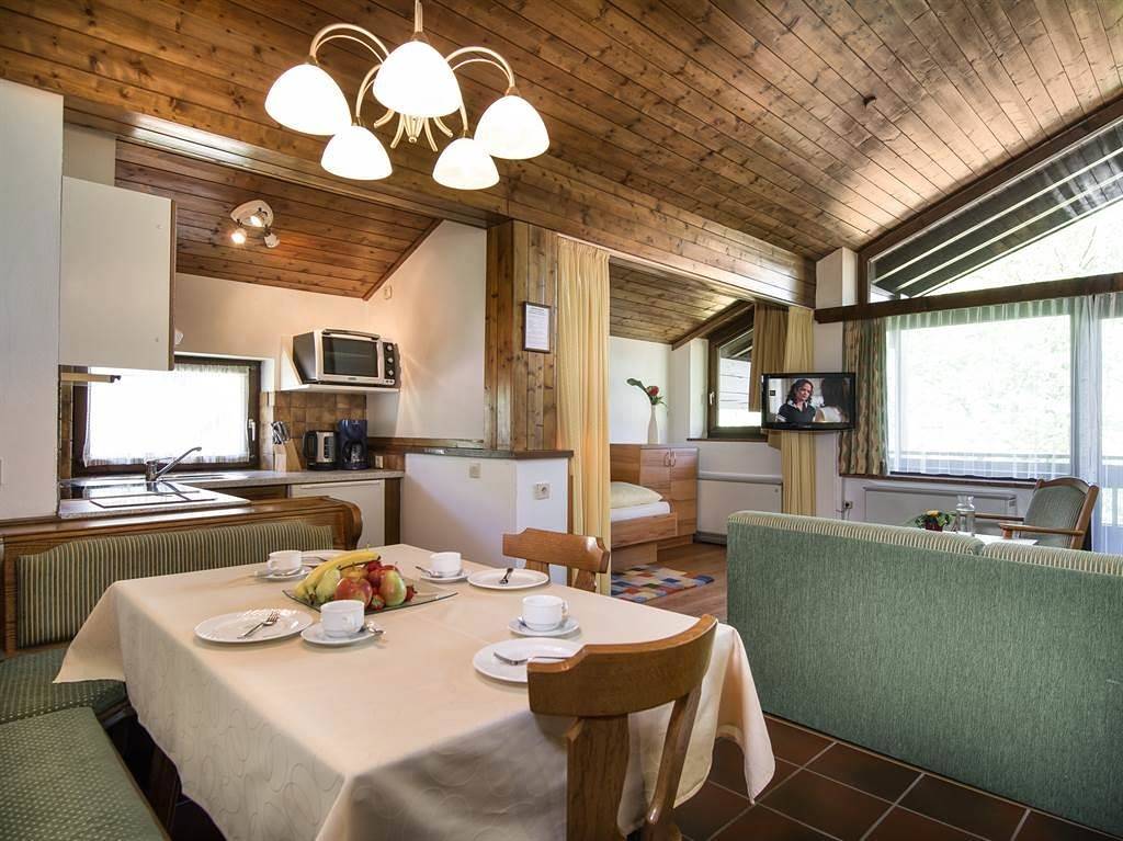 Ganze Ferienwohnung, Type D / 2 Schlafzimmer, 1 Wohn-Schlafraum in Bad Hofgastein, Ski Amadé
