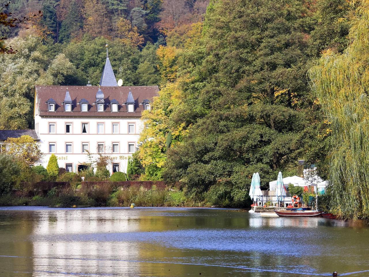 Hotel Pfälzer Wald - Einzelzimmer Basic in Bad Bergzabern, Südliche Weinstraße