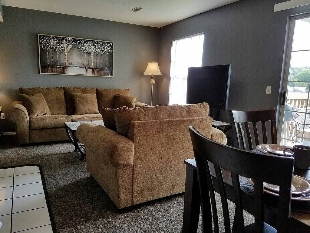 Ganze Wohnung, Atemberaubende am See! Haustierfreundlich! Superior-Einrichtung, keine Gebühren! neue All in 2017 in Table Rock Lake