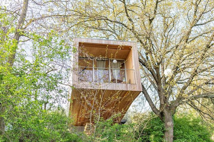 Maison de campagne pour 3 personnes, avec piscine ainsi que vue et jardin, animaux acceptés à Montepulciano - 4