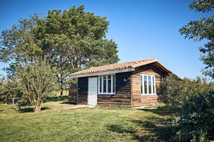 Location de vacances pour 11 personnes, avec Terrasse et Jardin ainsi que Piscine et Vue à Flourens (Haute-Garonne) - 2