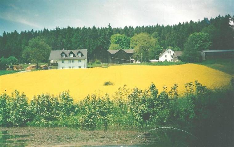Ferienhaus für 5 Personen, mit Balkon/Terrasse und Terrasse, mit Haustier im Frankenwald - 3