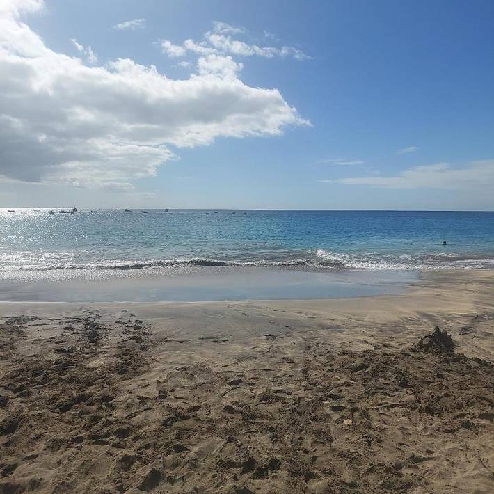 Gîte pour 4 personnes, avec terrasse dans São Vicente - 3