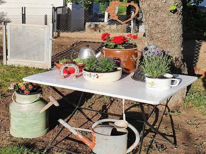 Ferienhaus für 6 Personen, mit Garten in Blankenburg - 3