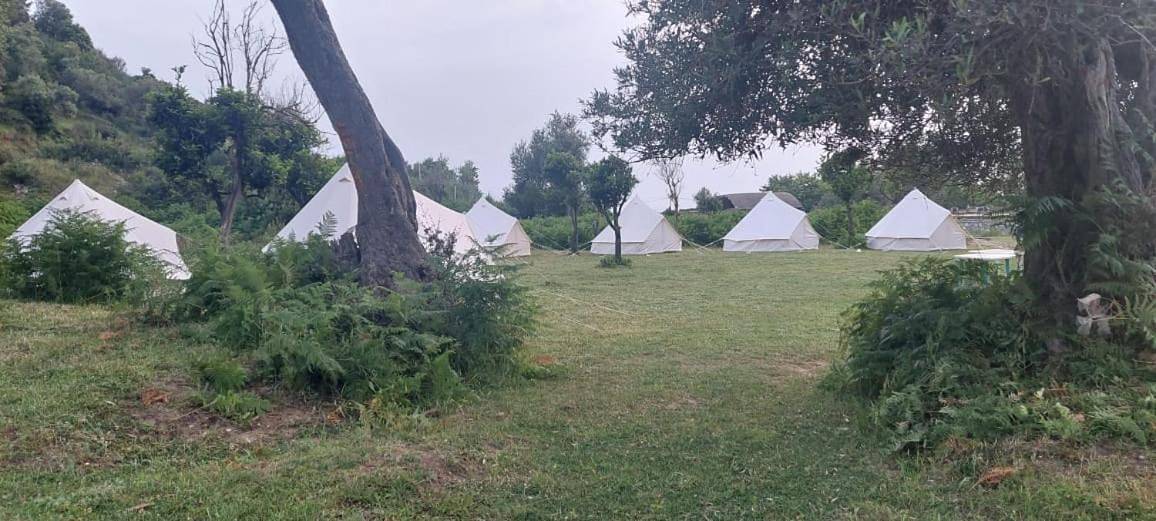Tent in Lukowa, Wlora