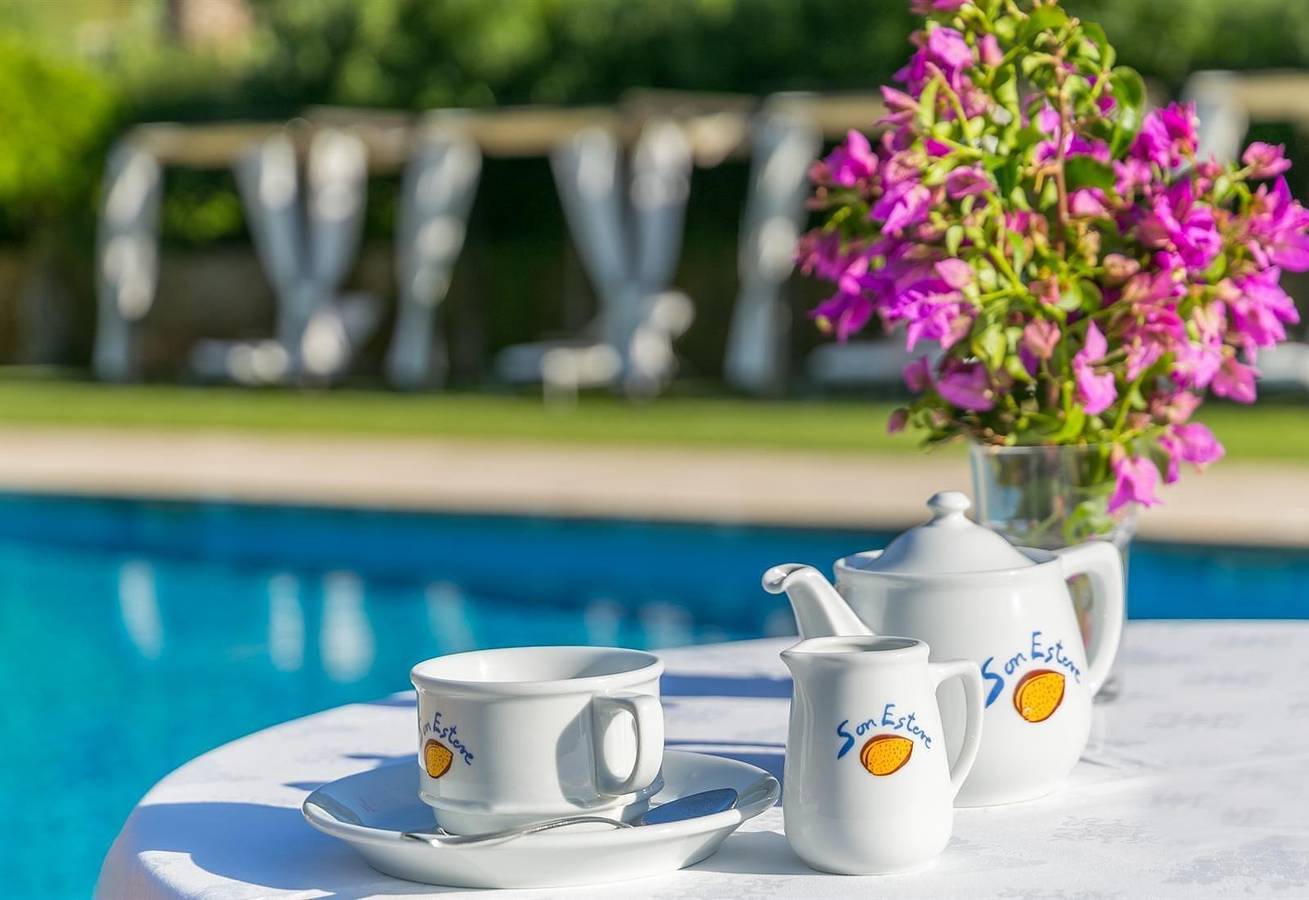 Finca junto a Port Andratx w/piscina  in Andrach, Mallorca Oeste