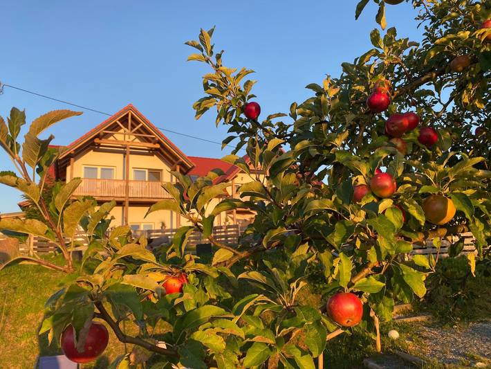 Bauernhof für 4 Personen, mit Garten und Sauna sowie Pool, kinderfreundlich im Burgenland