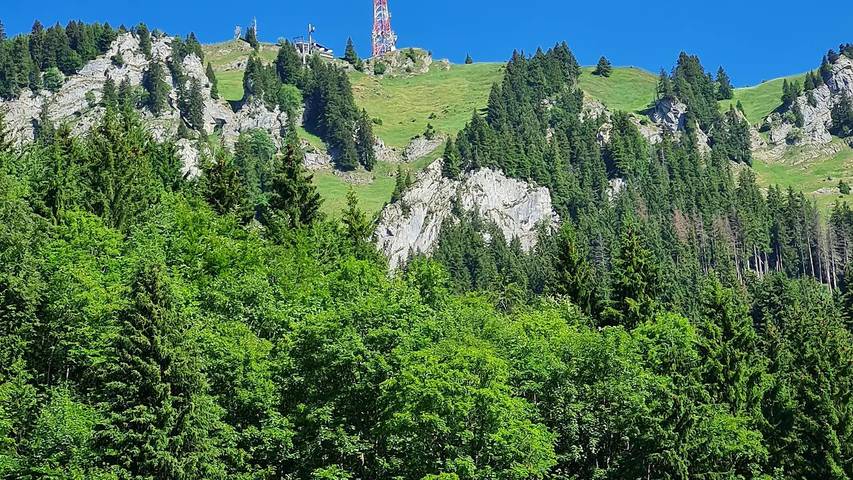 Hütte für 4 Personen, mit Garten in Grünten - 3
