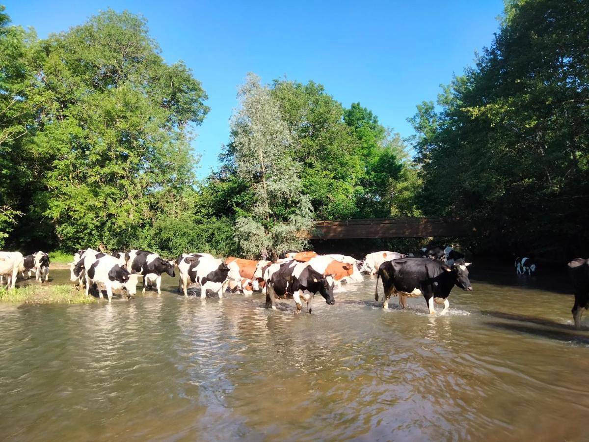 La Ferme de Plénoise Chambre & Table d'hôtes in Charny-Orée-de-Puisaye, Région d'Auxerre