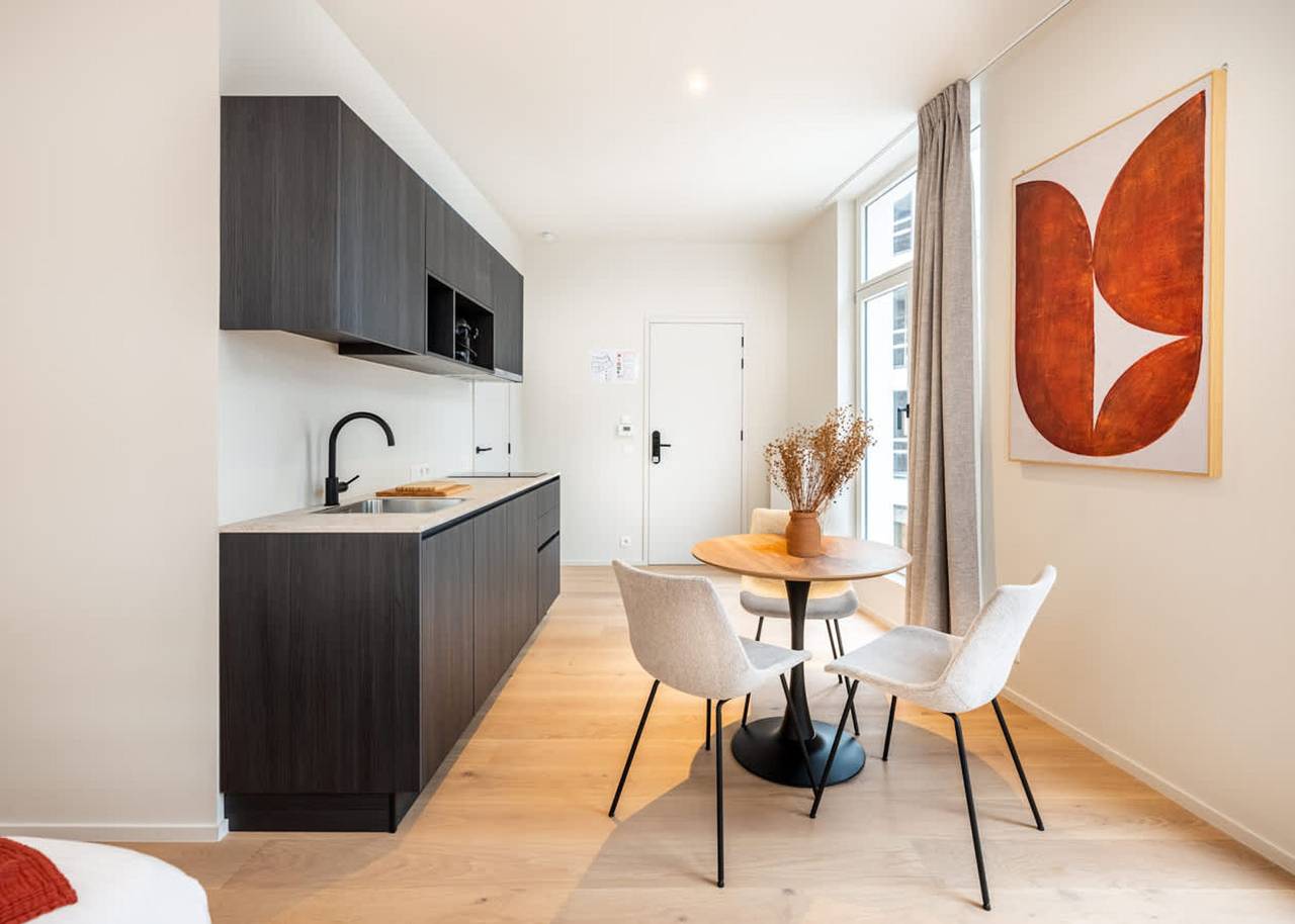 Geheel appartement, Casiola - Modern Studio with Views in Gent, Oost-Vlaanderen