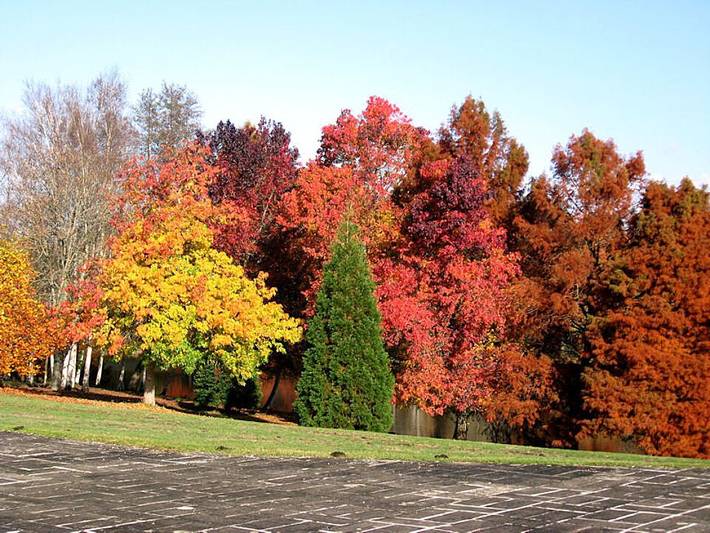 Studio pour 3 personnes, avec terrasse et vue sur le lac ainsi que piscine et jardin dans le Loir-et-Cher - 3