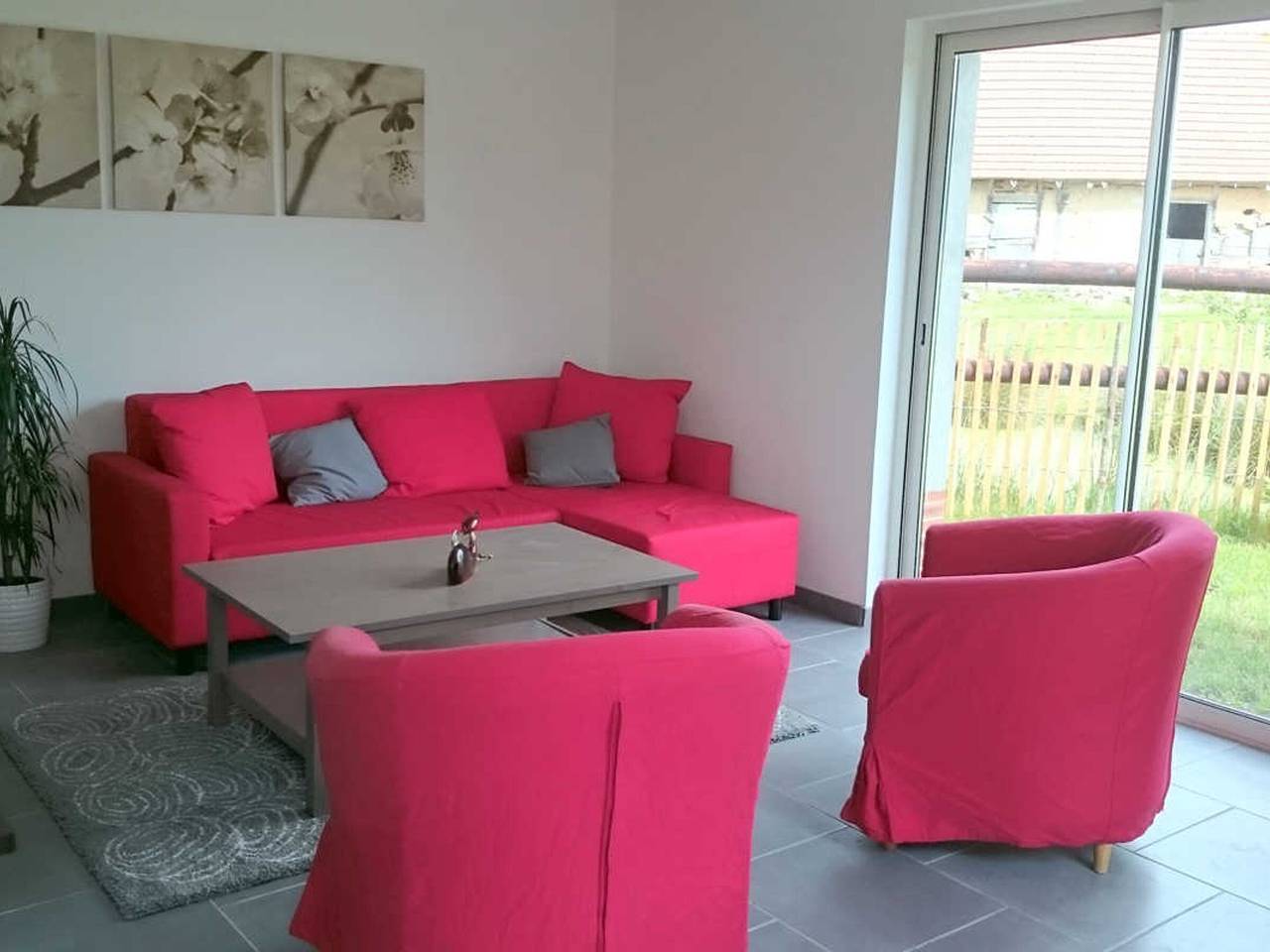 Encanto normando, tranquilas, perfecto para senderismo, animales en el sitio in La Ferté-Saint-Samson, Región de Dieppe