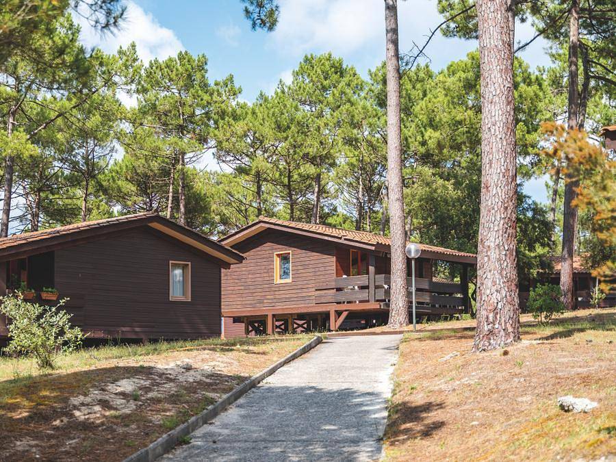 Sowell - Domaine Les Sentes Carcans-Maubuisson - Chalet 2 persons - 2 people in Carcans, Lesparre-Médoc region