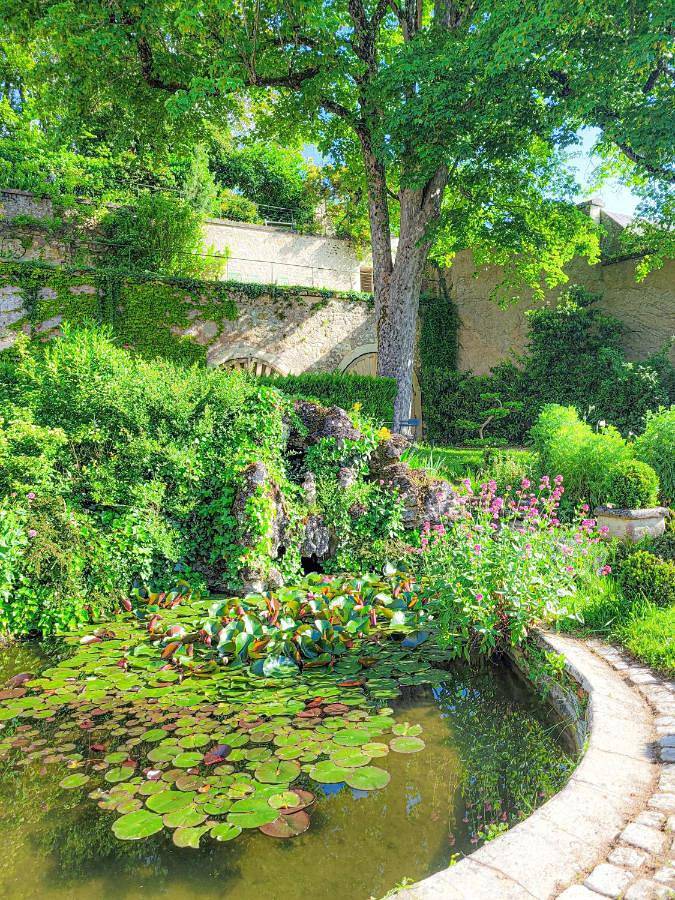 Maison d’hôte pour 2 personnes, avec vue et jardin dans Montrichard Val de Cher - 2