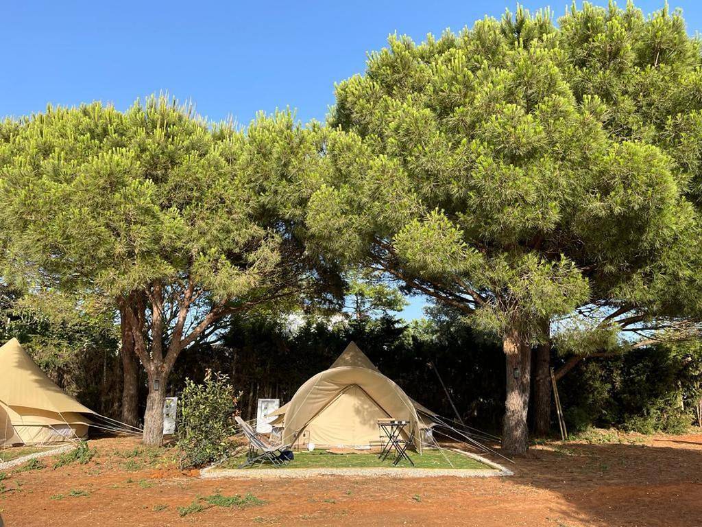 Tent in Conil de la Frontera, Costa de la Luz
