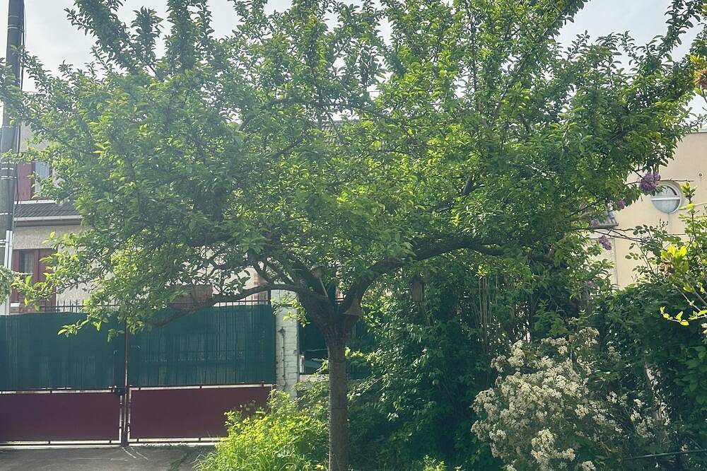 2 Bedroom Bed & breakfast in Colombes in Colombes, Altos del Sena