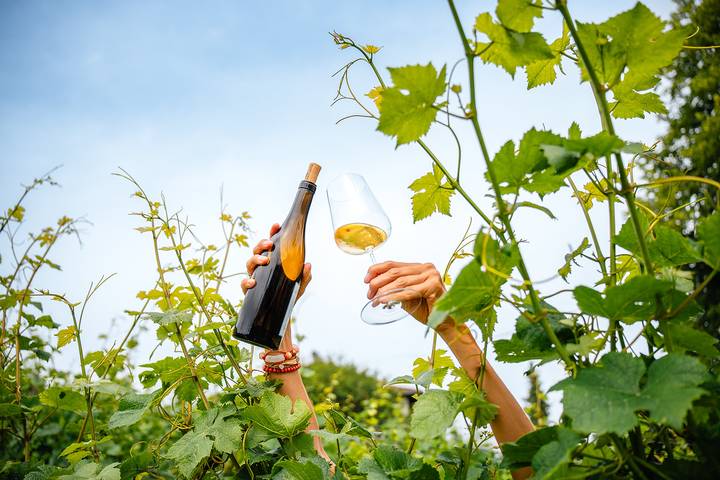 Hôtel pour 2 personnes, avec piscine et jacuzzi ainsi que sauna et terrasse, adapté aux familles à Durbach - 3
