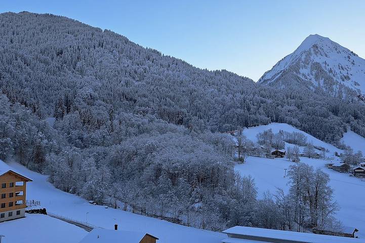 Agriturismo für 5 Personen, mit Terrasse und Garten in Schoppernau - 3