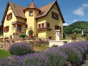 Chambre d’hôte pour 2 personnes, avec jardin dans le Haut-Rhin