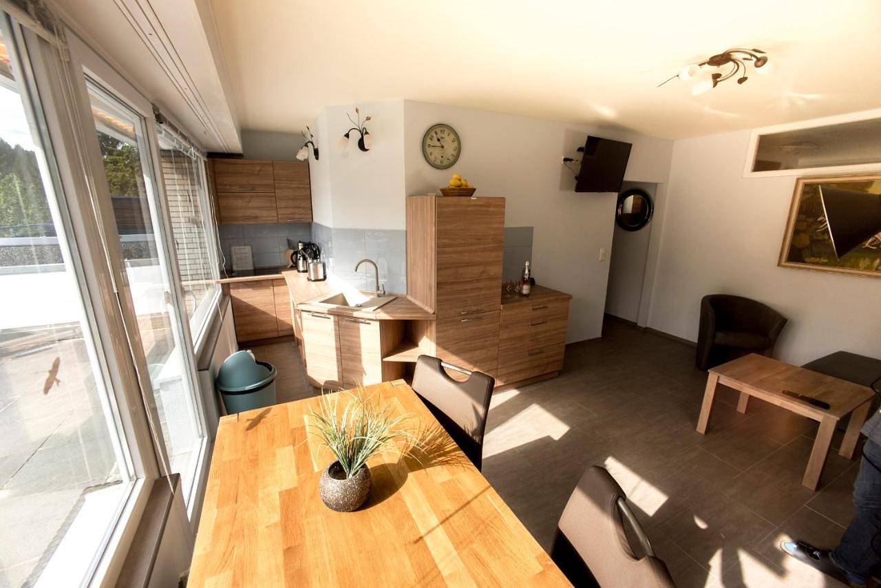 Ganze Wohnung, Himmelsterrassen mit Schwimmbad, W Lan und Sauna in Hohegeiß, Harzvorland