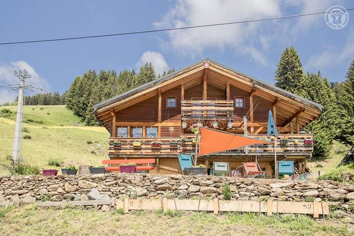 Gîte pour 13 personnes, avec Jacuzzi et Terrasse ainsi que Jardin et Sauna