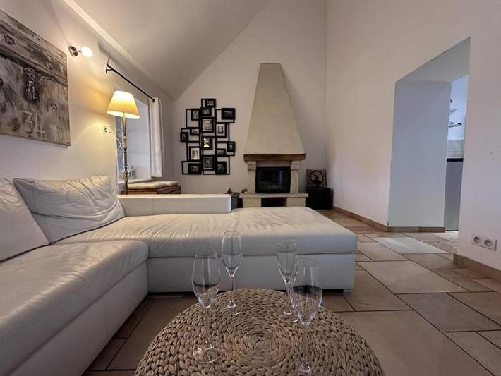 Maison de vacances pour 13 personnes, avec terrasse et jacuzzi ainsi que jardin et piscine - 1