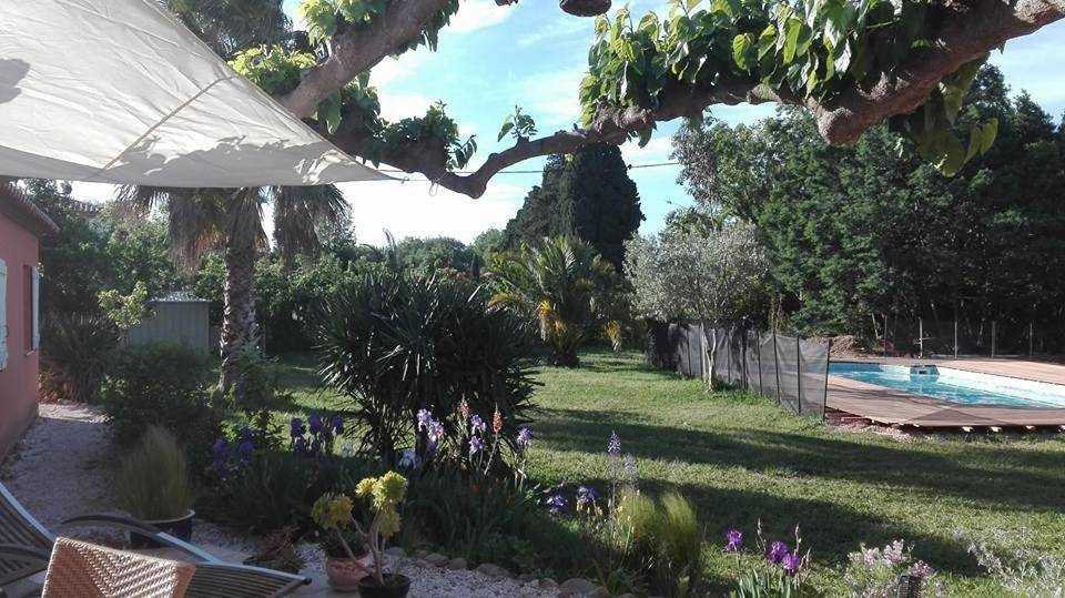 Double Room with Patio in Le Soler, Côte méditerranéenne (France)