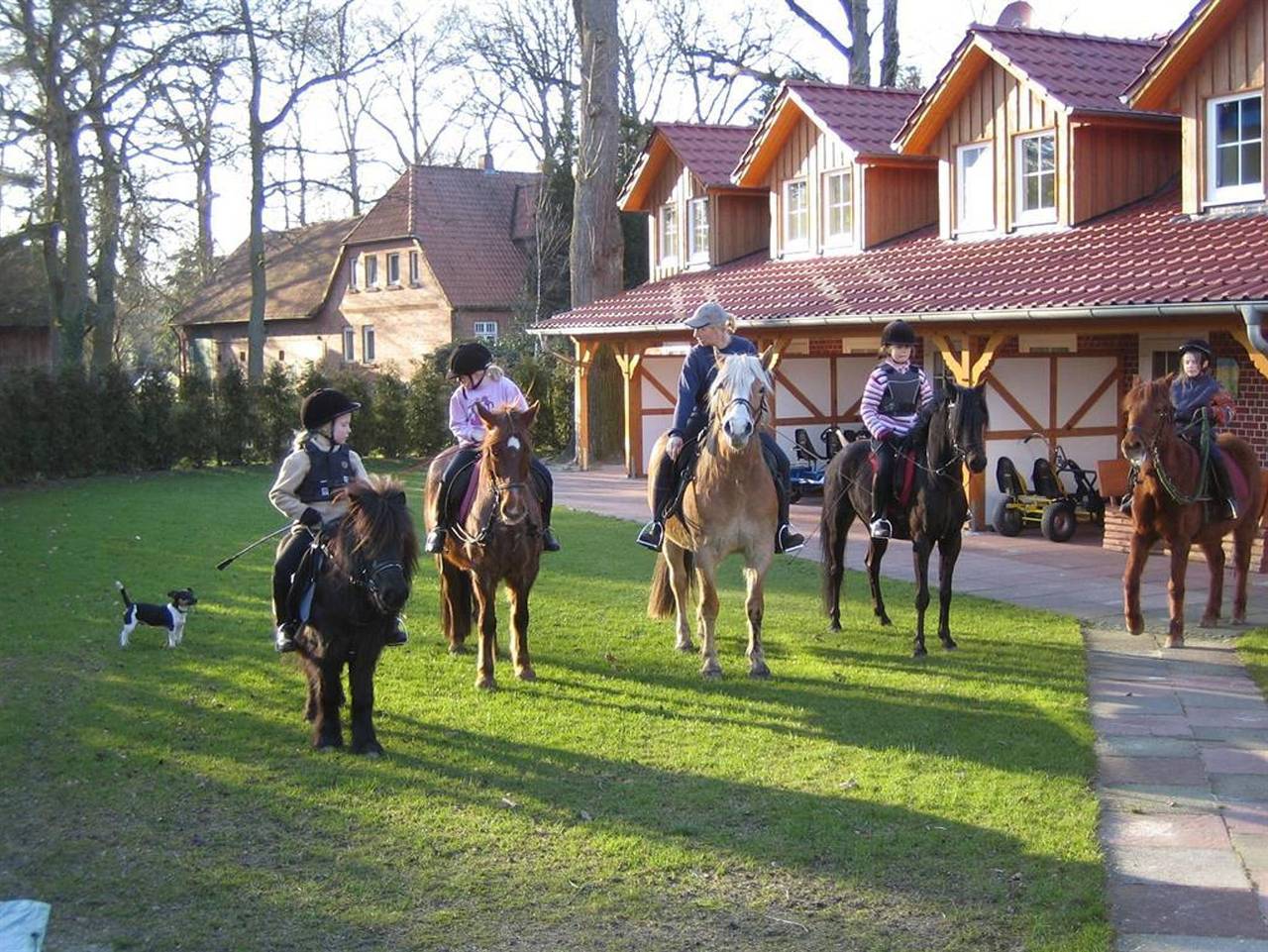 Ganze Ferienwohnung, Ferienhof Drewes - Fewo "Küken" Drewes Ranch, Du, Wc, 2 Sz in Wietzendorf, Landkreis Heidekreis