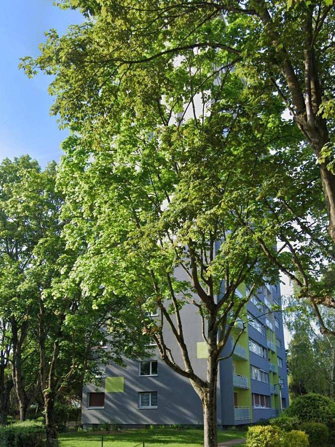Gîte pour 3 personnes, avec balcon, animaux acceptés à Ris-Orangis - 3