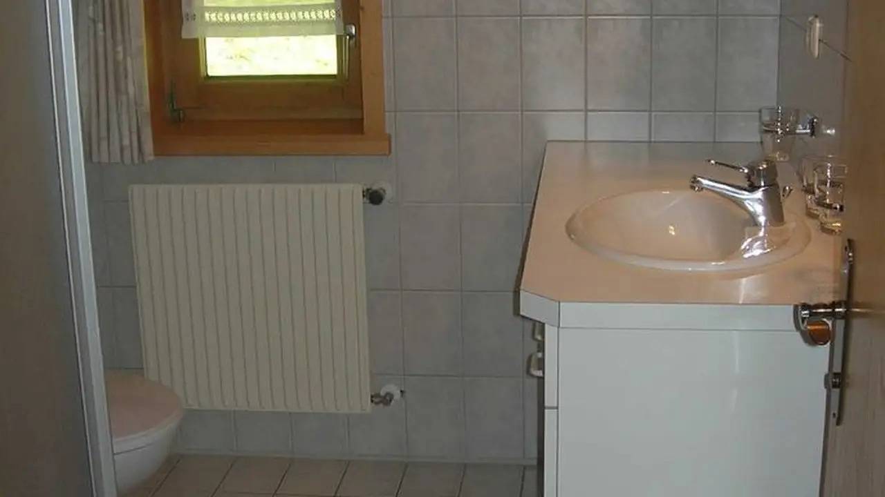 Ganze Ferienwohnung, Ferienwohnung für 3 Personen (35 m²) in Schoppernau in Diedamskopf, Schoppernau