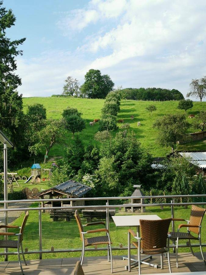 Gîte pour 2 personnes, avec jardin ainsi que vue et terrasse à Heppenheim - 3