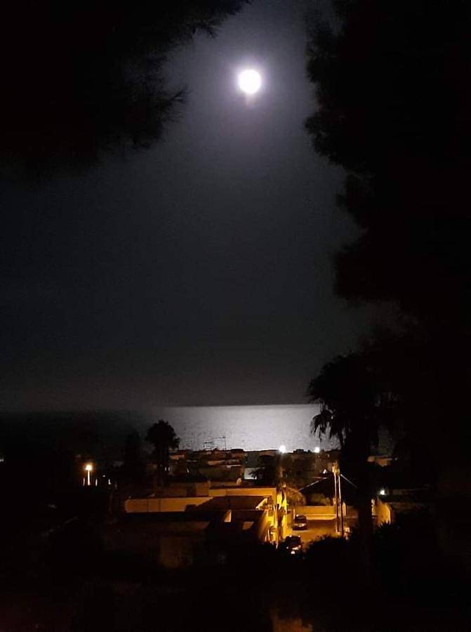 Chambre d’hôte pour 3 personnes, avec vue et jardin à Nardò - 2