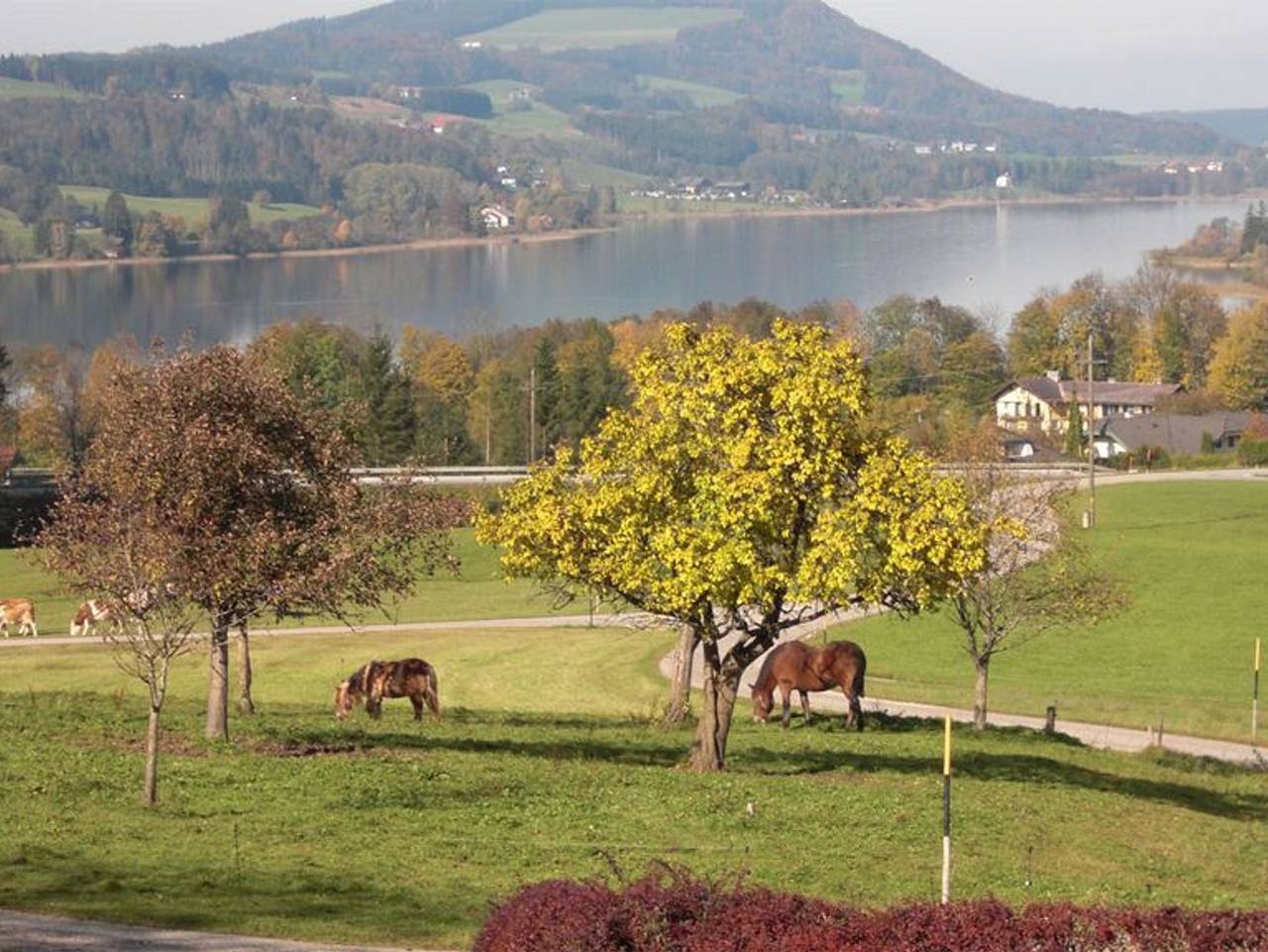 Ganze Ferienwohnung, Pension Winter Am Irrsee - Ferienwohnung Guten Morgen Sonne 2. Stock in Salzkammergut-Berge, Mondsee & Irrsee