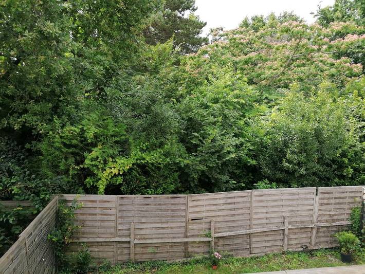 Location de vacances pour 6 personnes, avec vue ainsi que jardin et terrasse à Léognan - 4