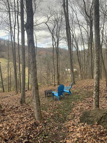 Lake House for 4 Guests in Nashville, Tennessee, Picture 4