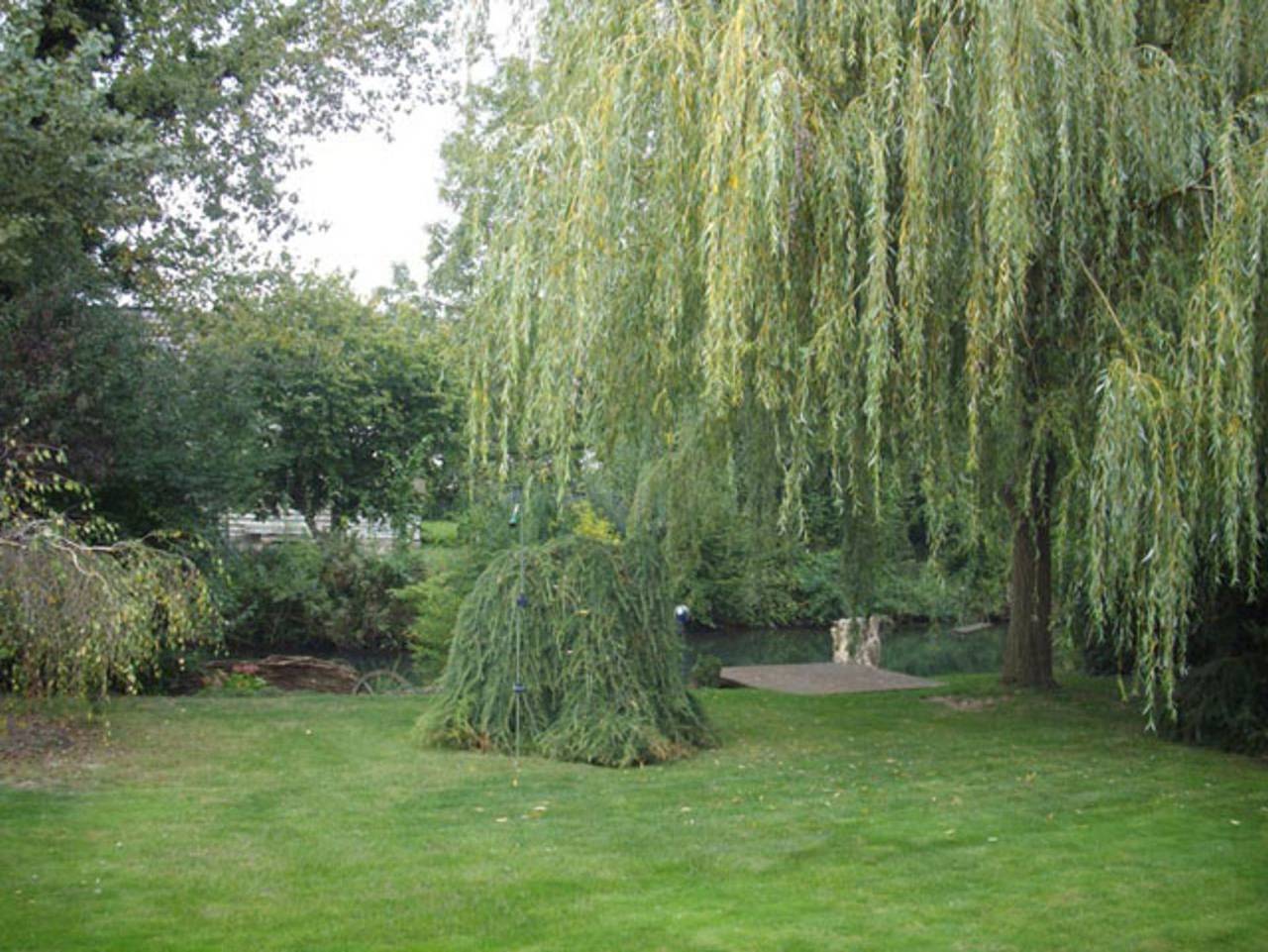 Ganze Ferienwohnung, Ferienwohnung Klatt-Gallus - Ferienwohnung, 59 m², Parterre, 1 Schlafraum, max. 2 Pers. in Meißenheim, Mittlerer Schwarzwald